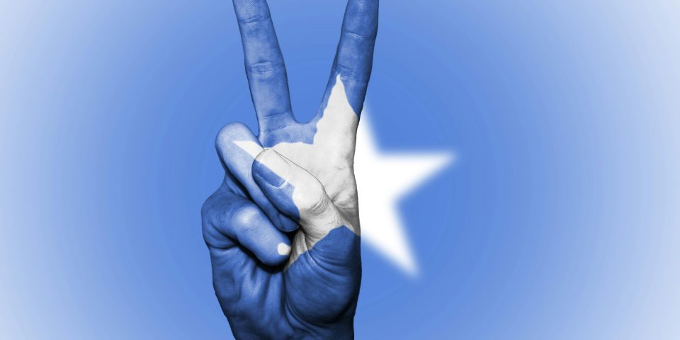 A hand making a peace gesture painted with the Somali flag colors, symbolizing national unity.